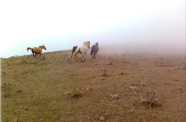 روستای جوبن، جوبن شهرستان رودبار، جوبن گیلان،جوبن رستم آباد، روستای جوکین، جوبن کجاست؟ 